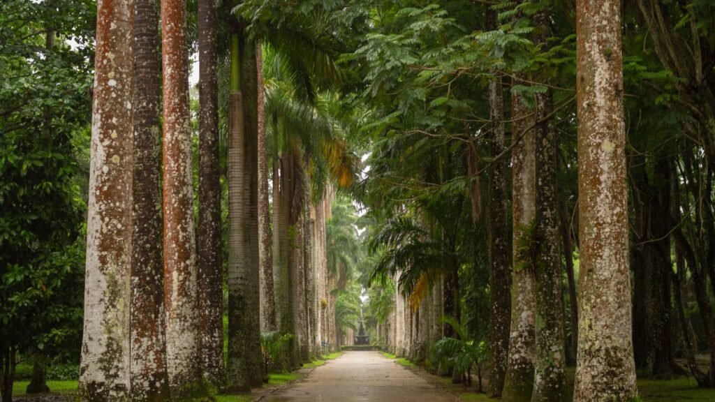 Jardim Botânico