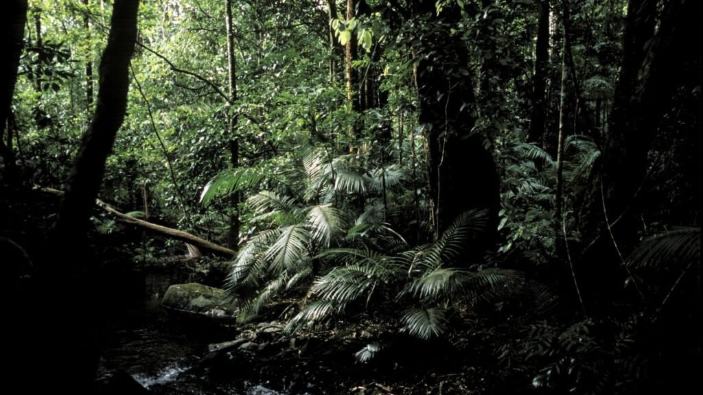 Environmental Education