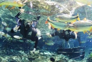 Bonito Brazil