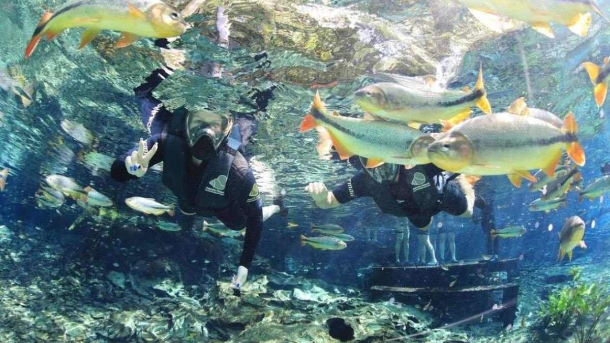 Bonito Brazil