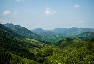 Serra do Roncador Mato Grosso
