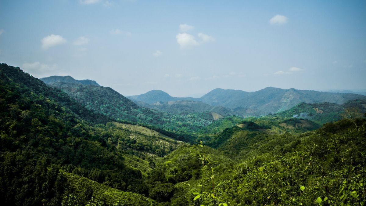 Serra do Roncador Mato Grosso