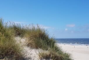 Riding Sand Dunes